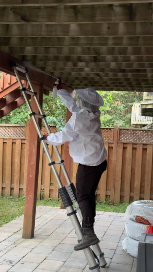 Pest Detection