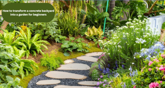 How to transform a concrete backyard into a garden for beginners